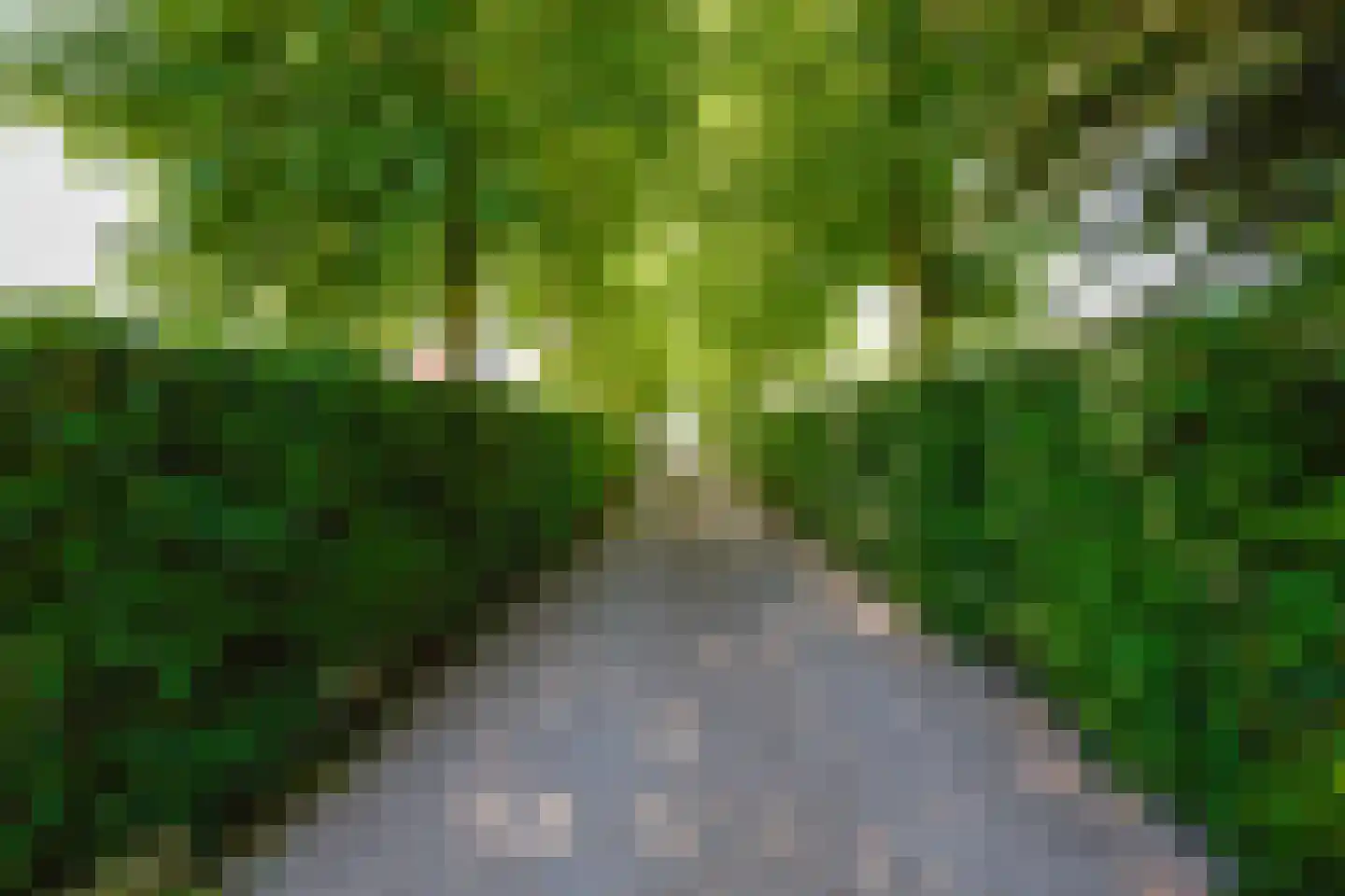 Noorddijkerweg 45 Ursem thumbnail 9