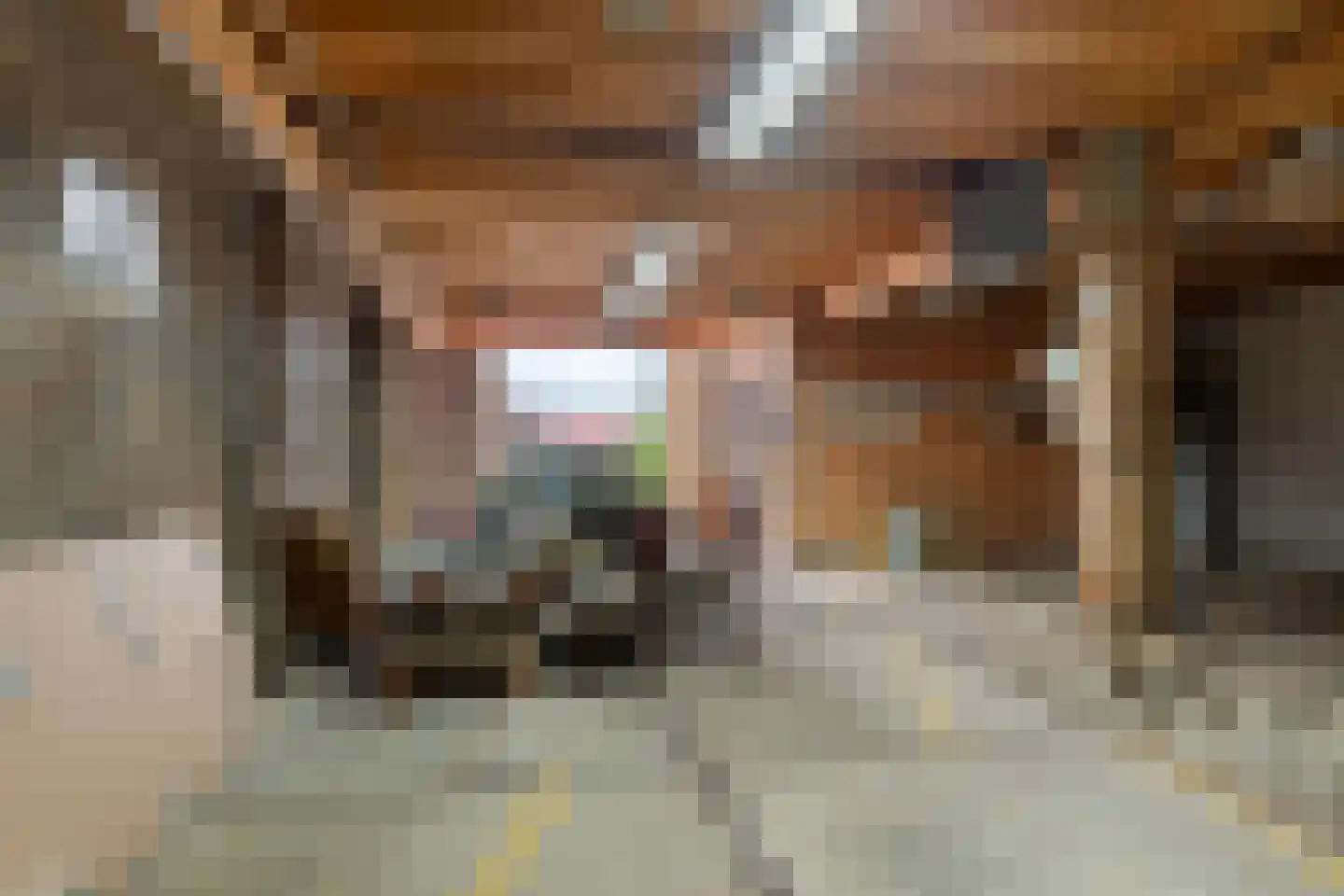 Noorddijkerweg 66 Ursem thumbnail 22
