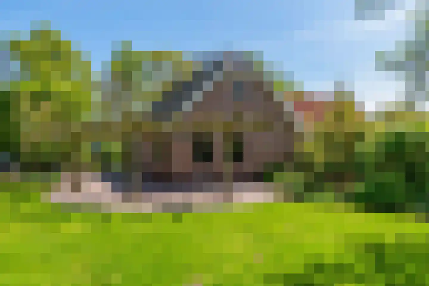 Noorddijkerweg 66 Ursem thumbnail 46