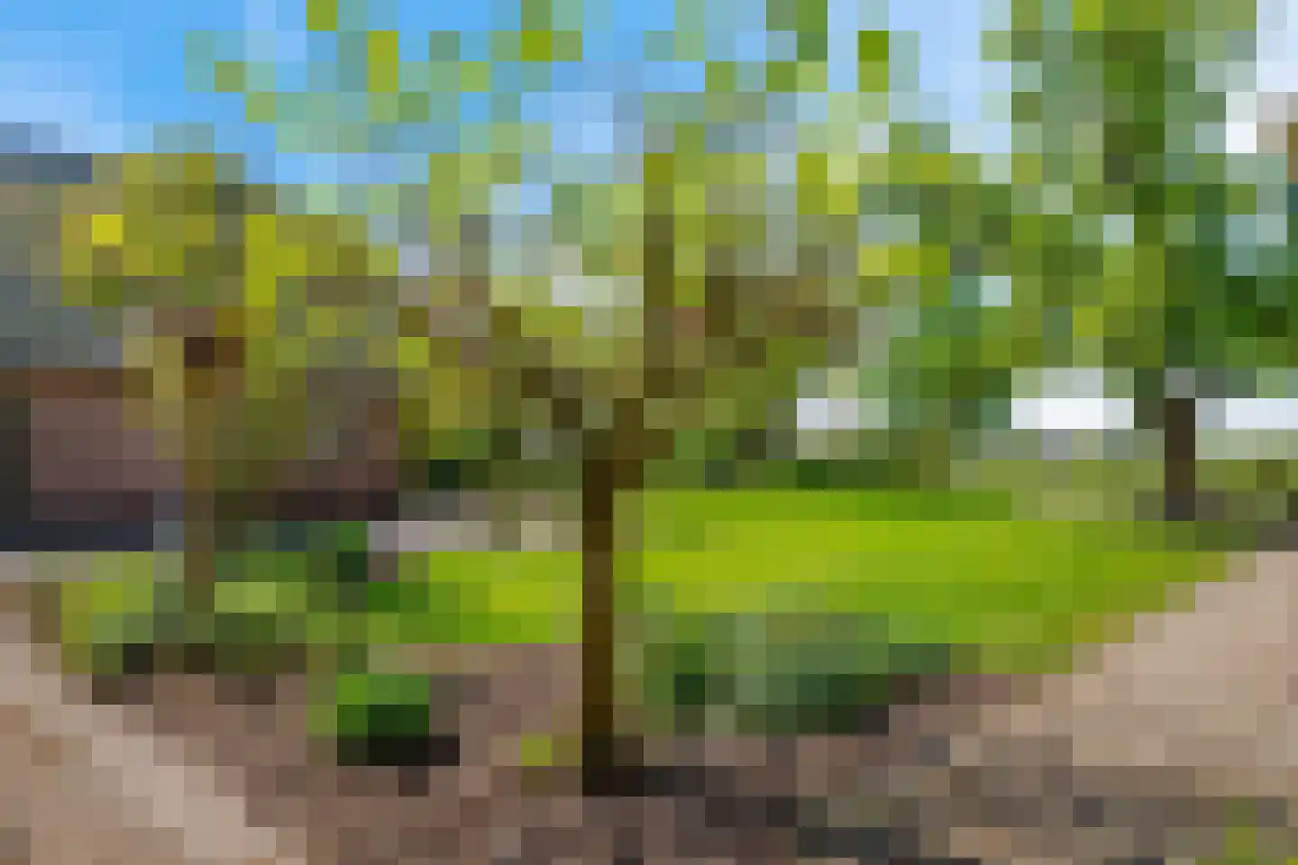Noorddijkerweg 66 Ursem thumbnail 47