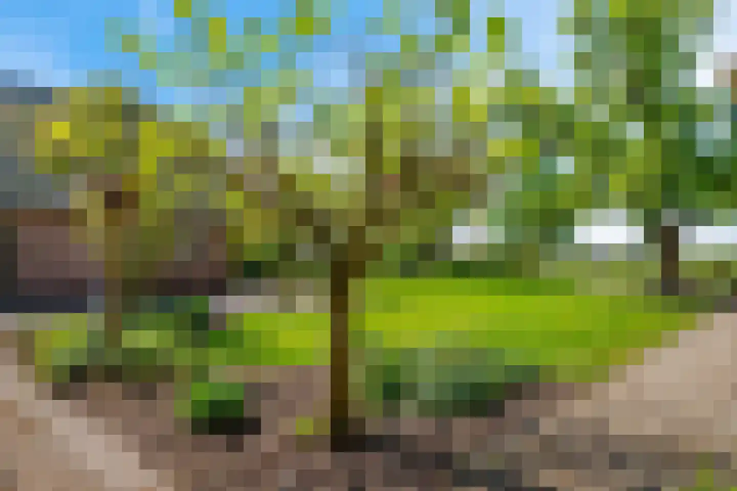 Noorddijkerweg 66 Ursem thumbnail 47