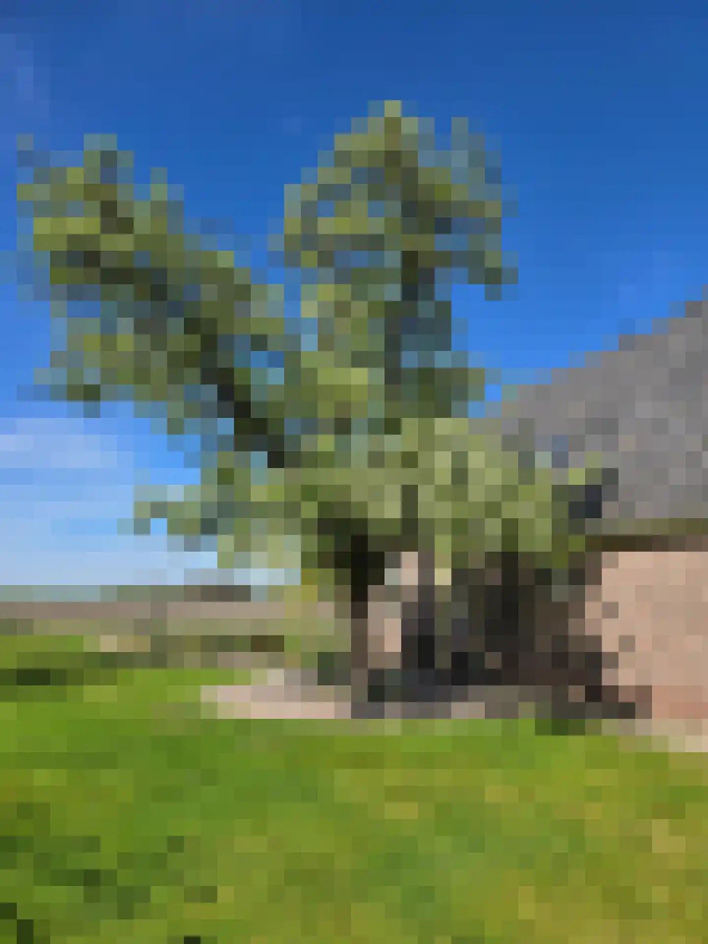 Noorddijkerweg 66 Ursem thumbnail 48