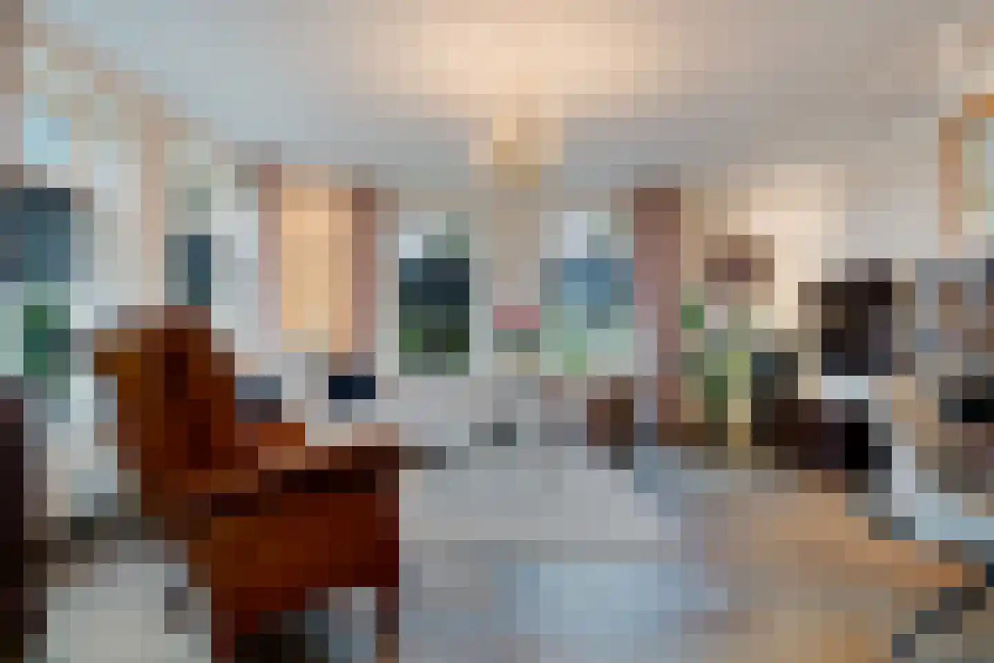 Noorddijkerweg 66 Ursem thumbnail 6