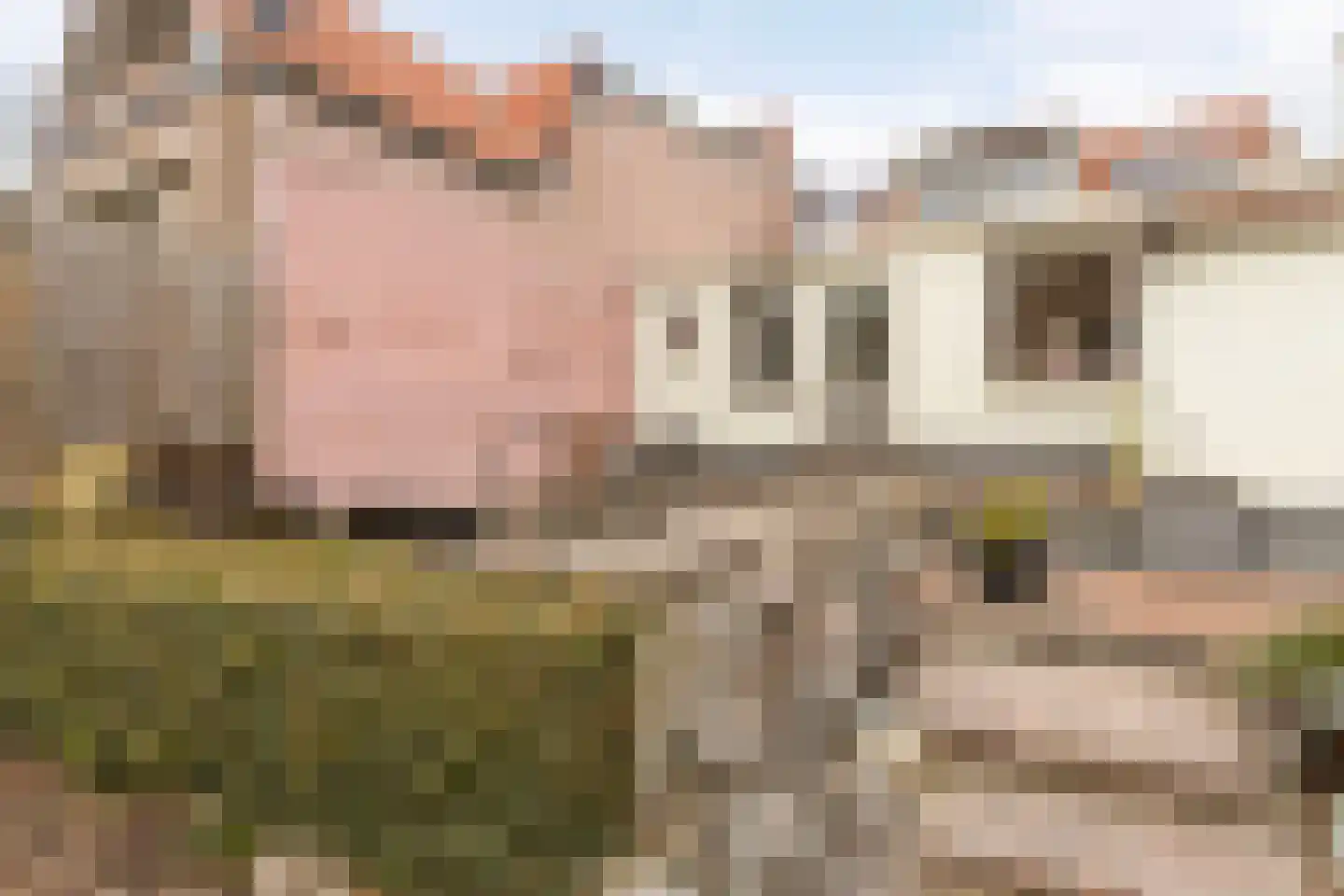 Noorddijkstraat 25 Brouwershaven thumbnail 29