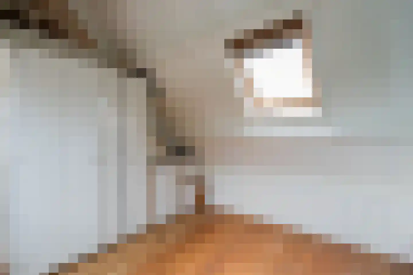 Noorddijkstraat 33 Brouwershaven thumbnail 14