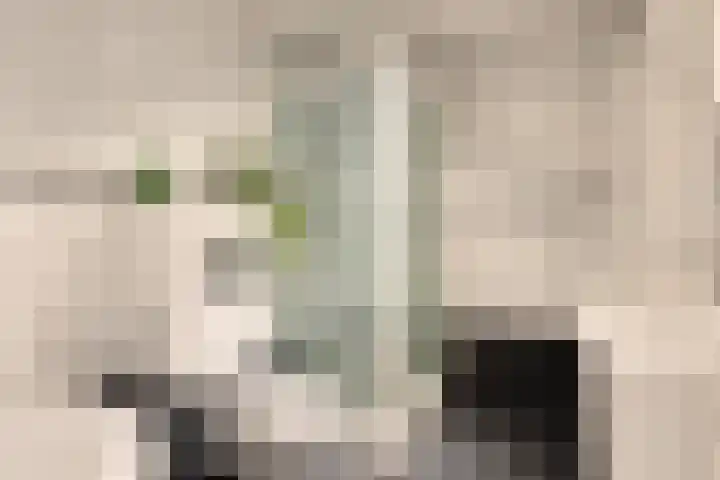 Noorddijkstraat 58 Brouwershaven thumbnail 8