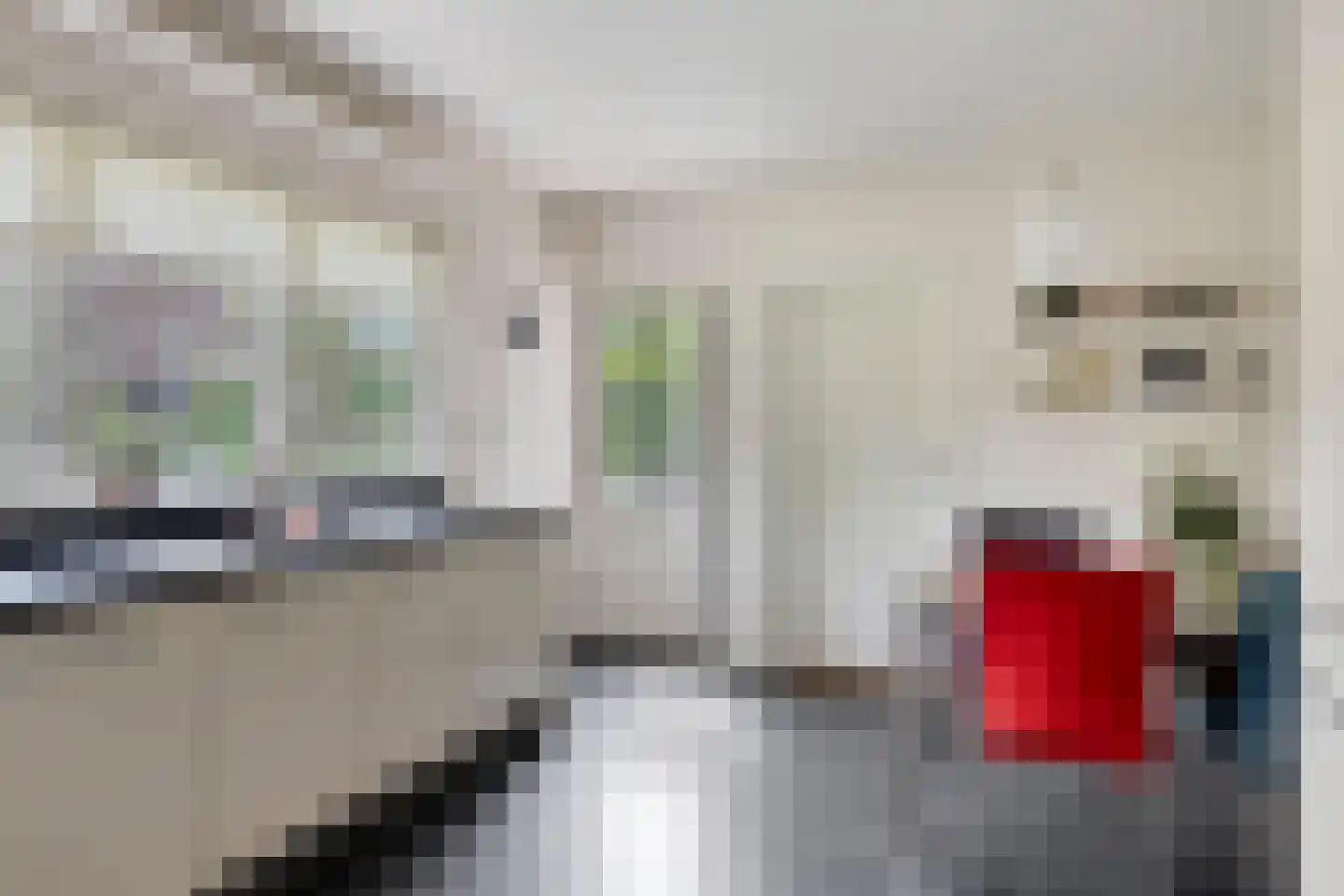 Noorddonk 146 Steenbergen thumbnail 14