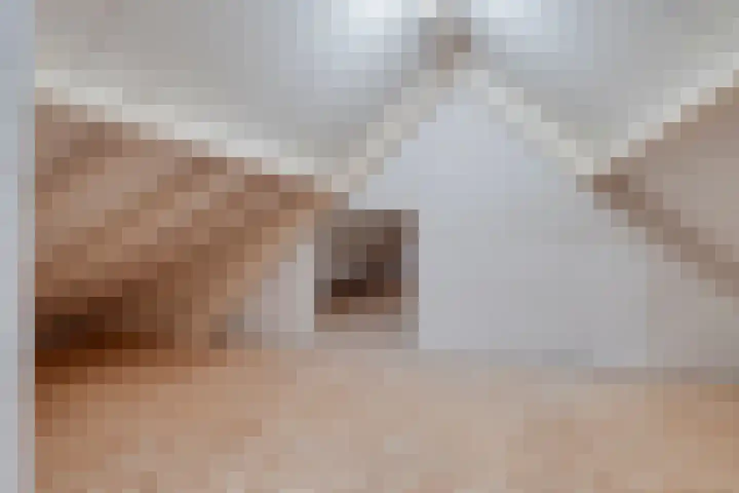 Noorddonk 146 Steenbergen thumbnail 29