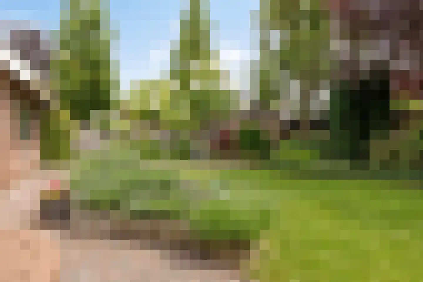 Noorddonk 146 Steenbergen thumbnail 34