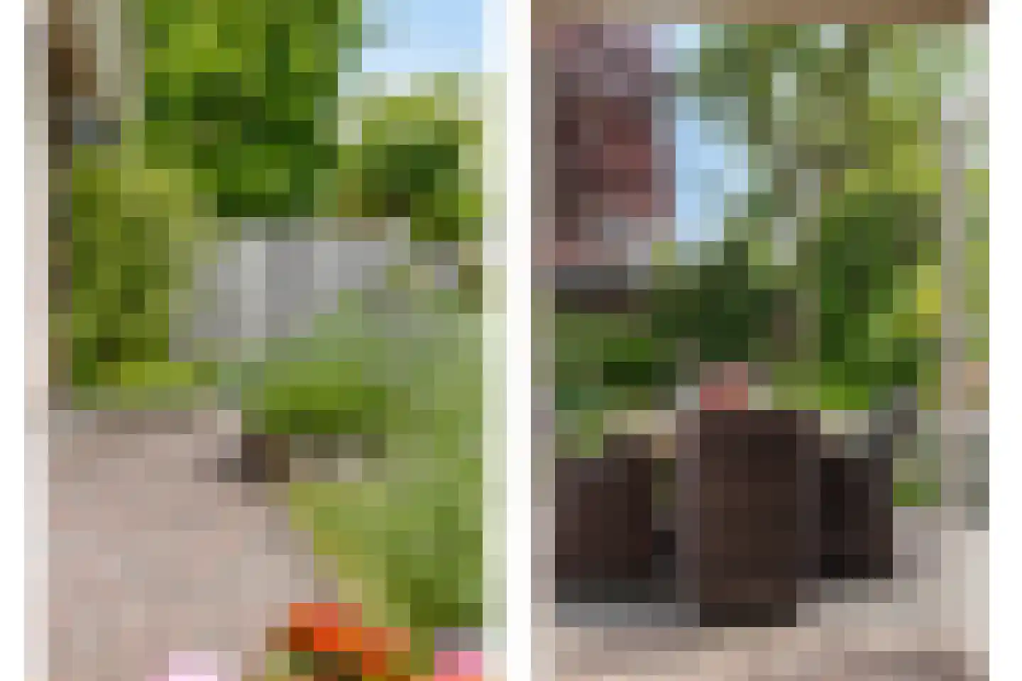 Noorddonk 146 Steenbergen thumbnail 38