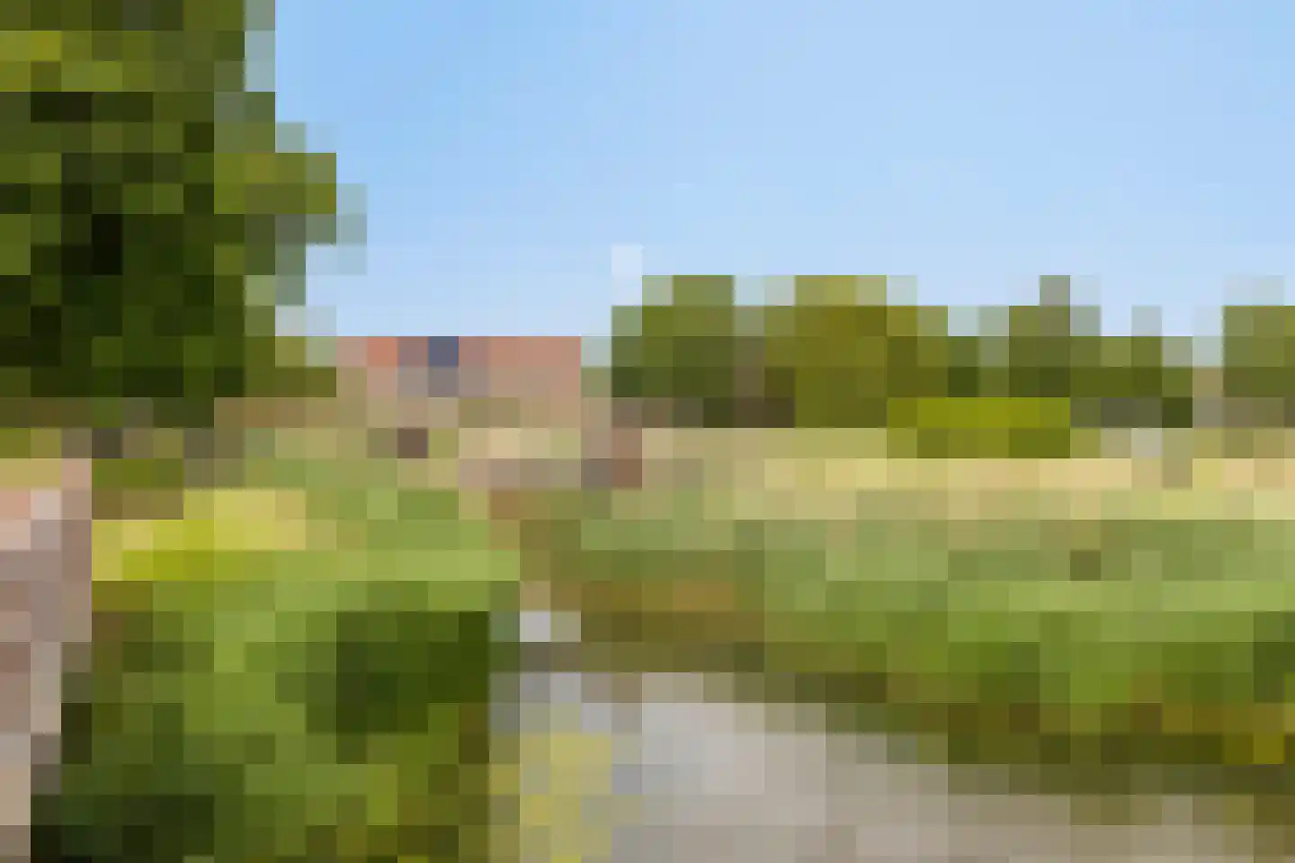 Noorddonk 146 Steenbergen thumbnail 39