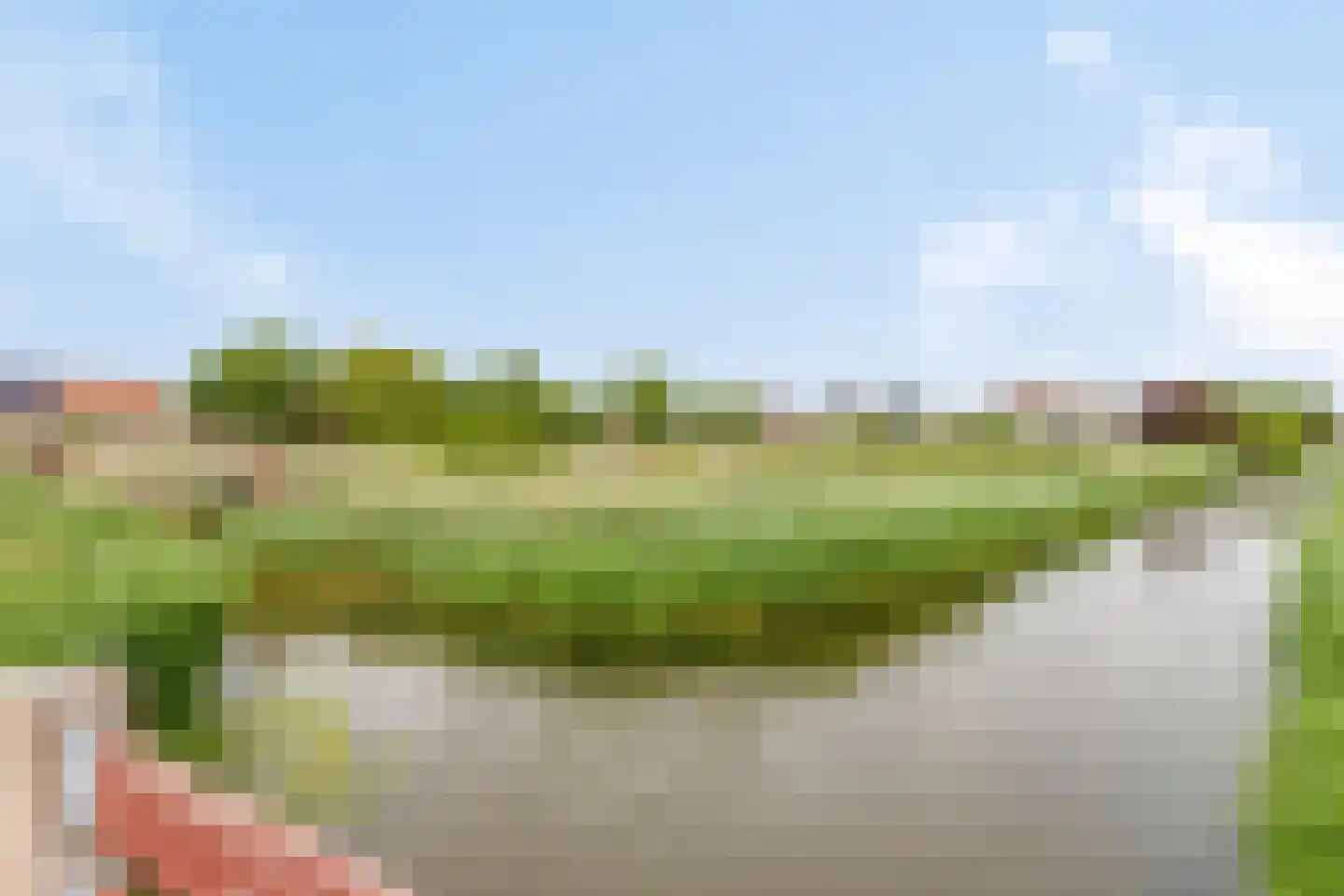 Noorddonk 146 Steenbergen thumbnail 42