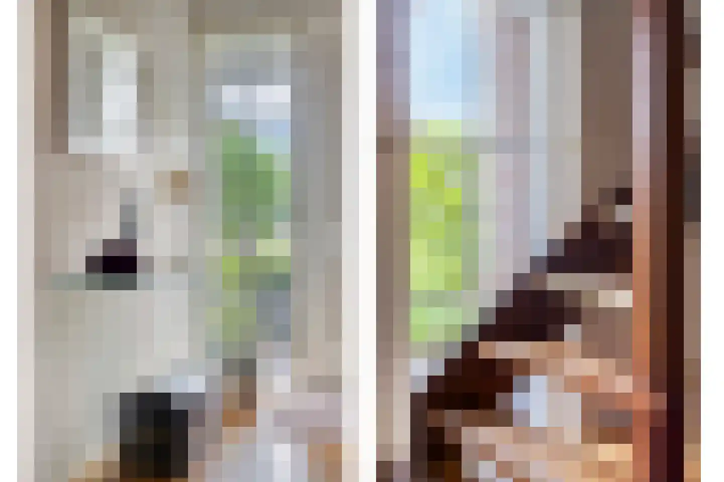 Noorddonk 146 Steenbergen thumbnail 7
