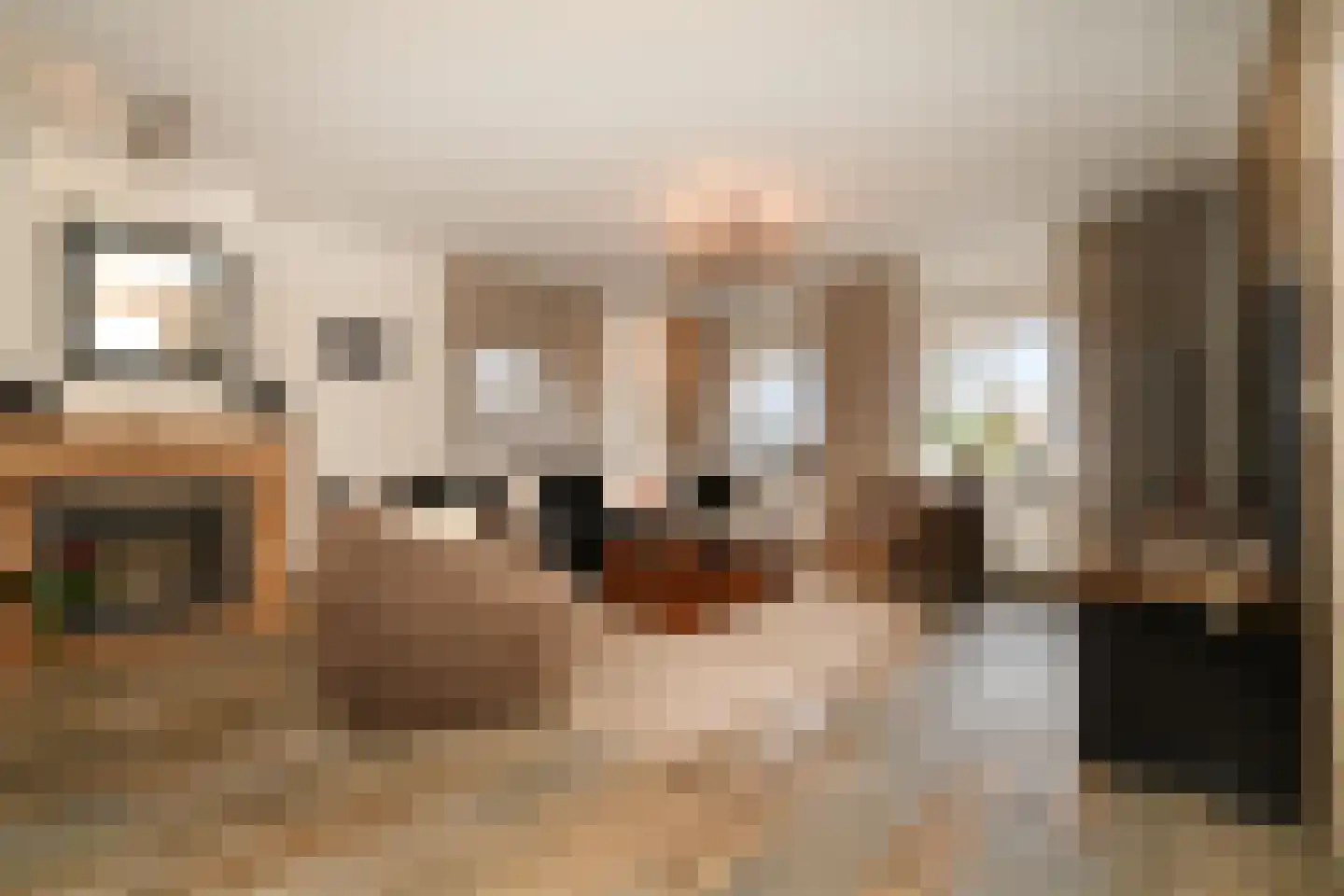 Noorddonk 152 Steenbergen thumbnail 10