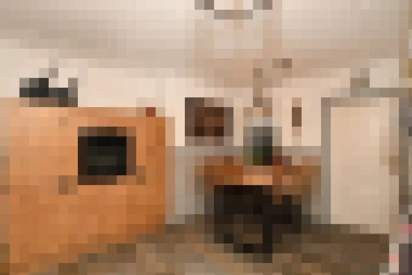 Noorddonk 152 Steenbergen thumbnail 17