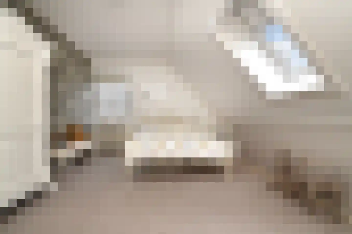 Noorddonk 152 Steenbergen thumbnail 23