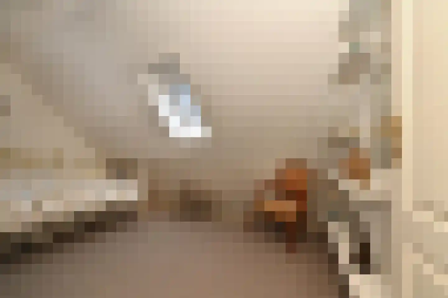 Noorddonk 152 Steenbergen thumbnail 24