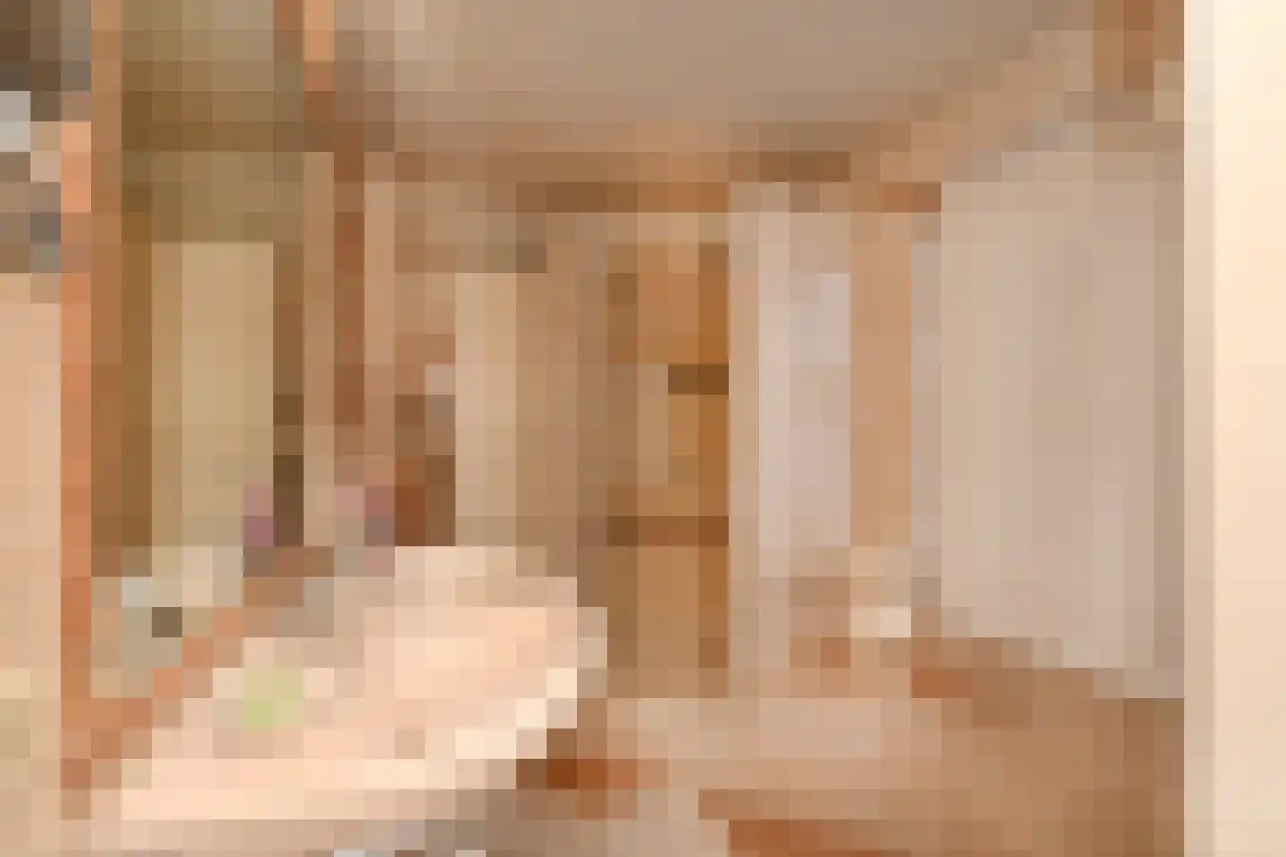 Noorddonk 152 Steenbergen thumbnail 25
