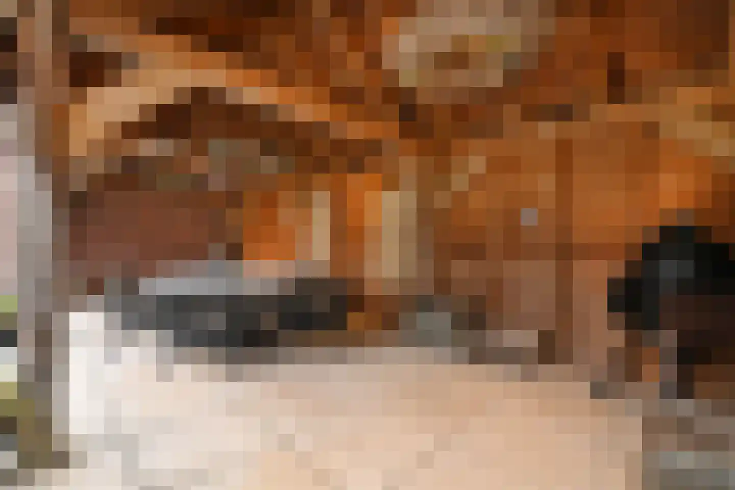 Noorddonk 152 Steenbergen thumbnail 28