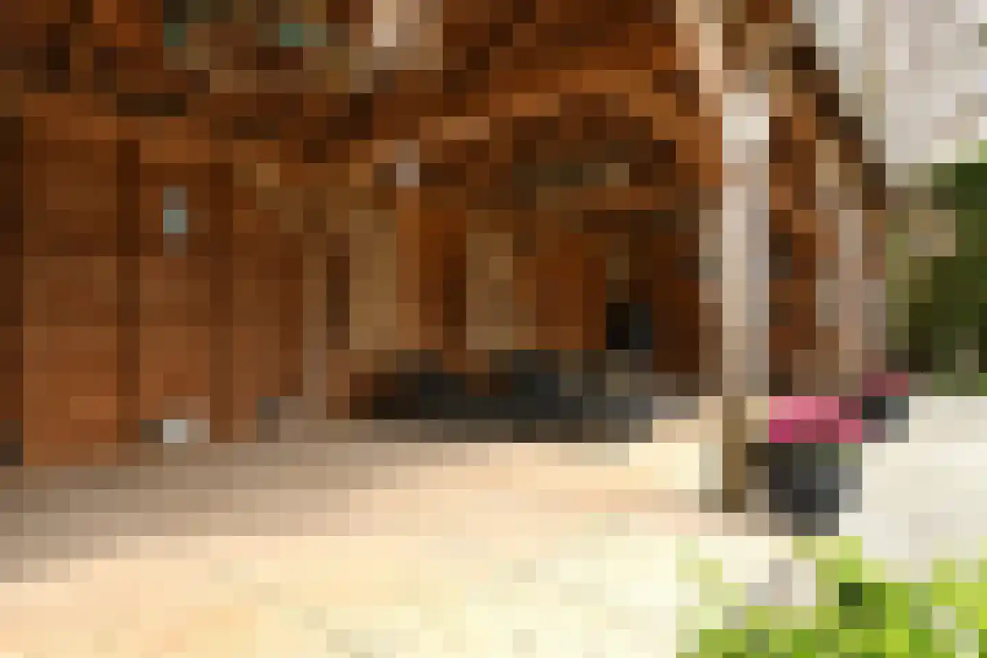 Noorddonk 152 Steenbergen thumbnail 29