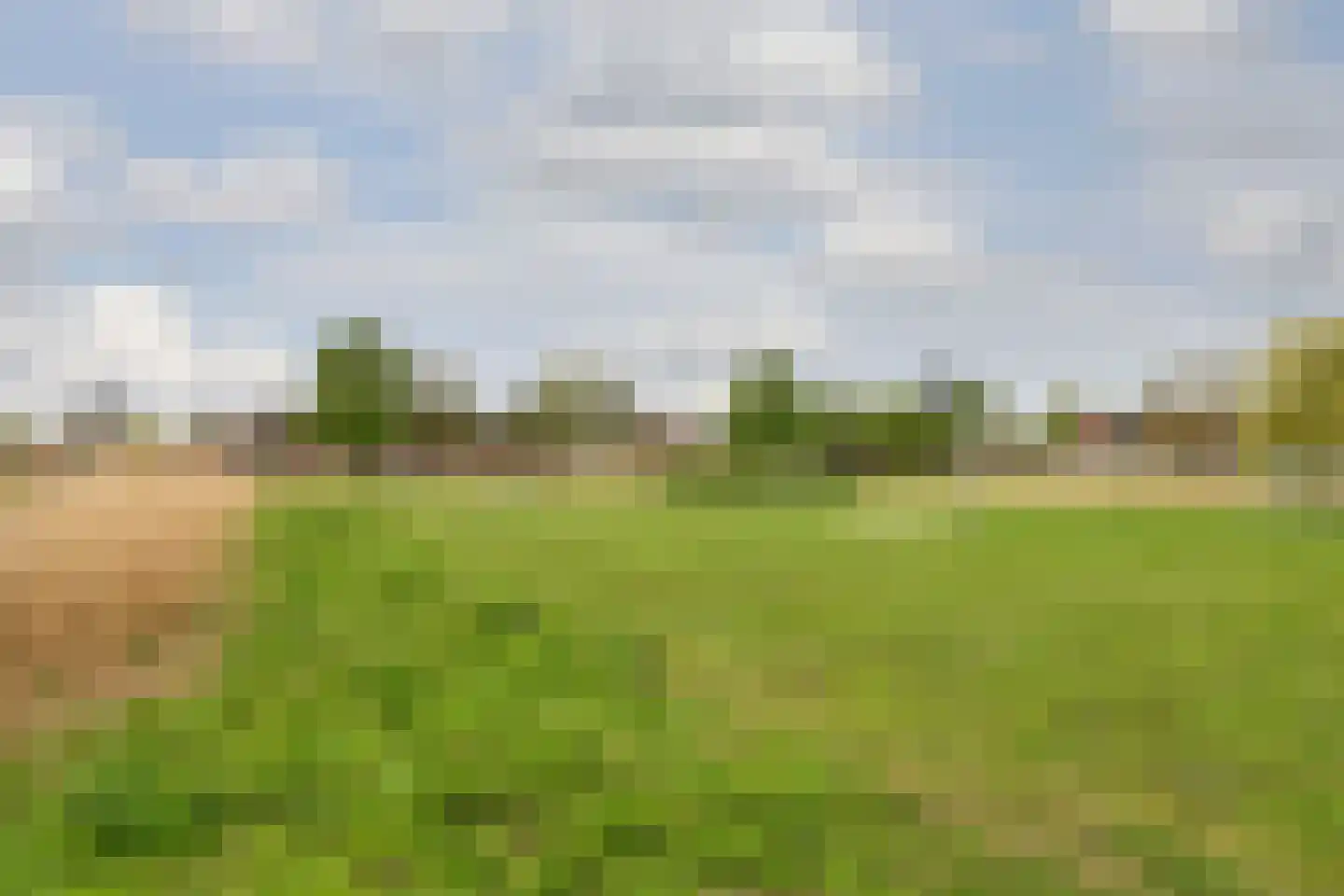 Noorddonk 152 Steenbergen thumbnail 42