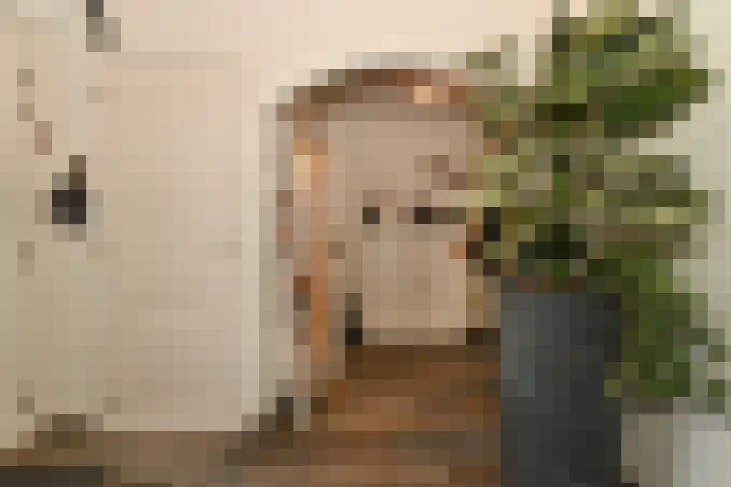 Noorddonk 152 Steenbergen thumbnail 9