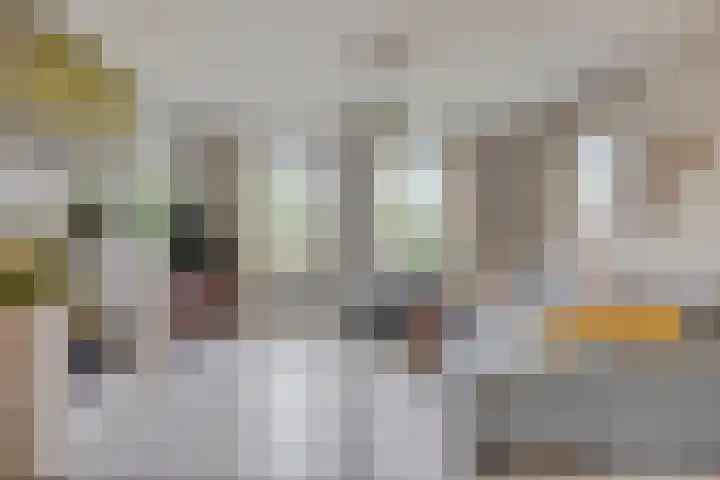 Noorddonk 162 Steenbergen thumbnail 10