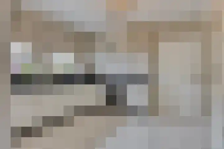 Noorddonk 162 Steenbergen thumbnail 14