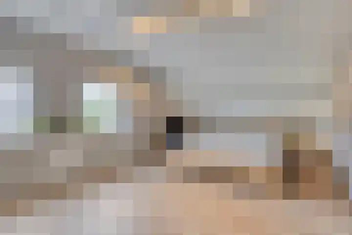 Noorddonk 162 Steenbergen thumbnail 28