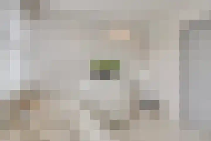 Noorddonk 162 Steenbergen thumbnail 32