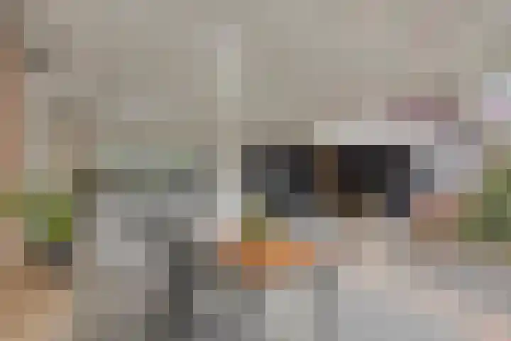 Noorddonk 162 Steenbergen thumbnail 43