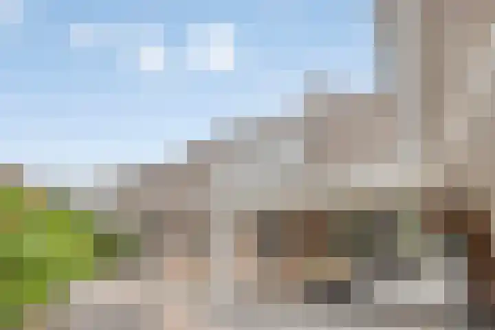 Noorddonk 162 Steenbergen thumbnail 48
