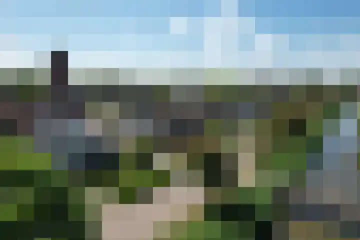 Noorddonk 162 Steenbergen thumbnail 49