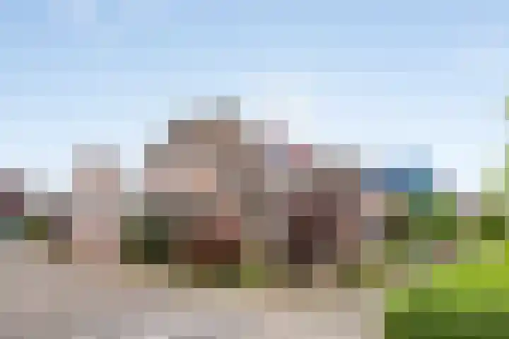 Noorddonk 162 Steenbergen thumbnail 50