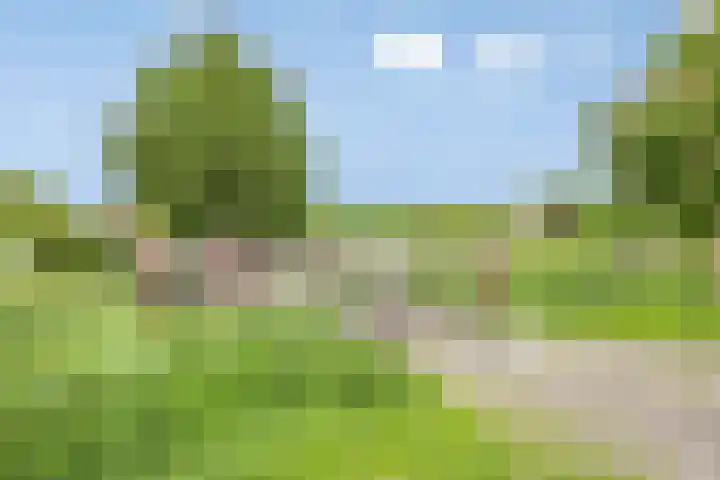 Noorddonk 162 Steenbergen thumbnail 51