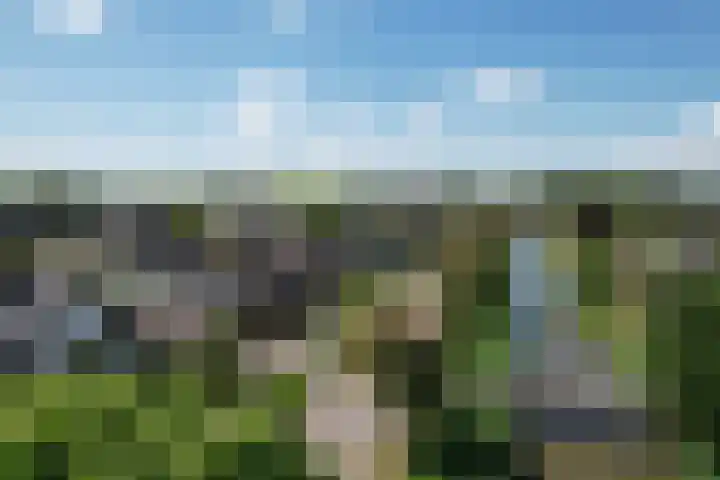Noorddonk 162 Steenbergen thumbnail 53