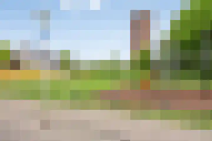 Noorddonk 162 Steenbergen thumbnail 57