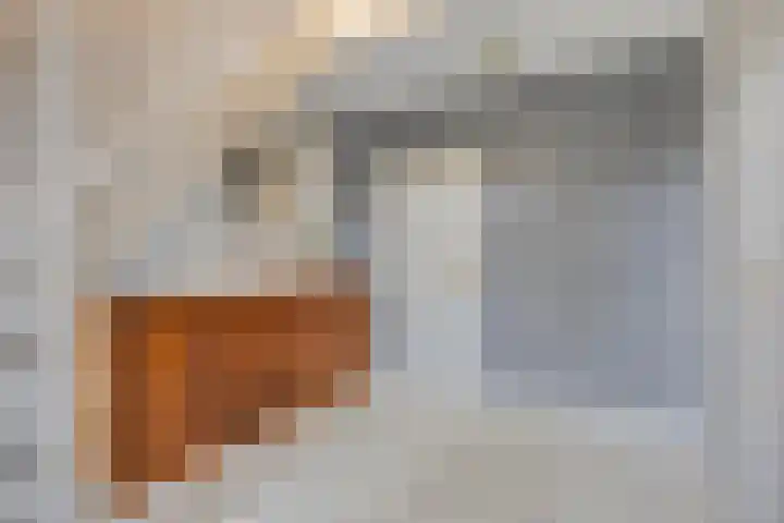 Noorddonk 162 Steenbergen thumbnail 6