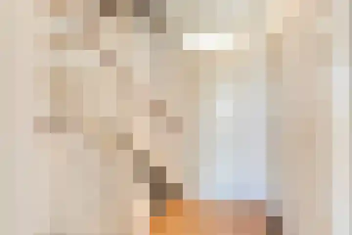 Noorddonk 3 Steenbergen thumbnail 13