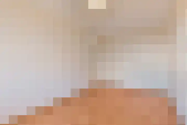 Noorddonk 3 Steenbergen thumbnail 15