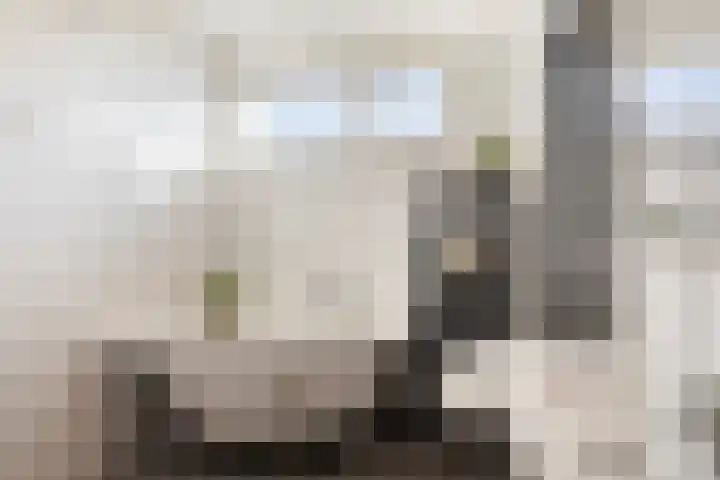 Noorddonk 3 Steenbergen thumbnail 16