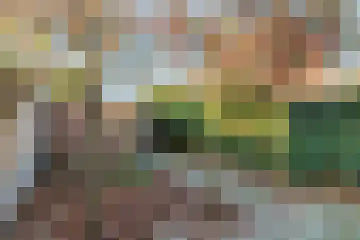 Noorddonk 3 Steenbergen thumbnail 27