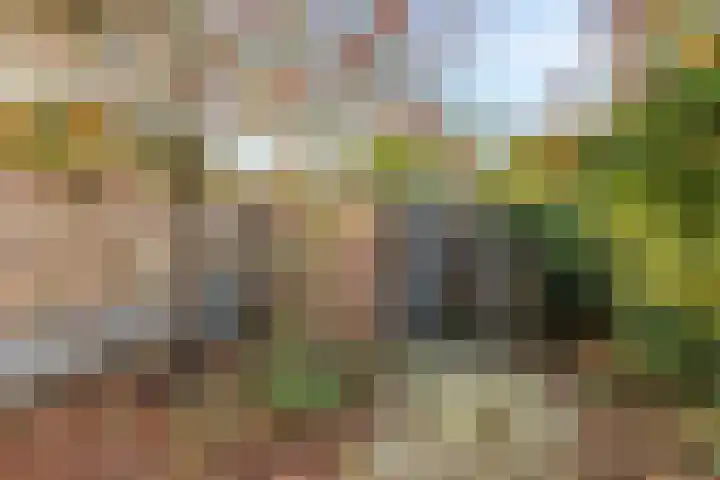 Noorddonk 3 Steenbergen thumbnail 28