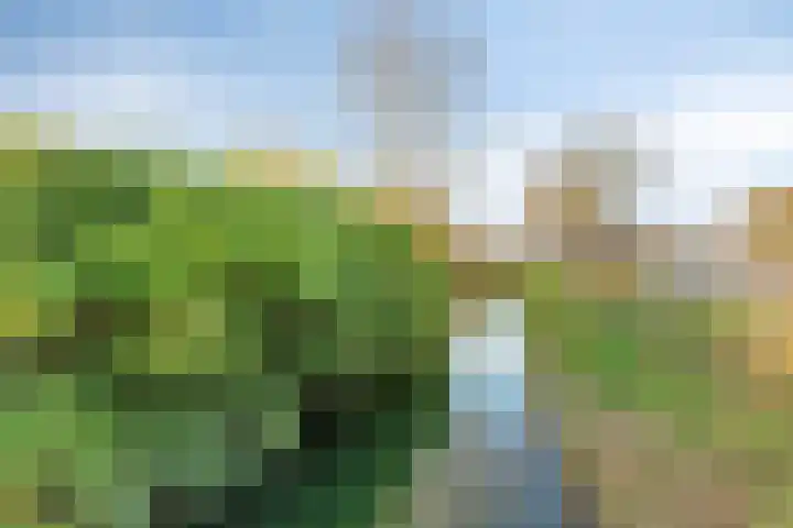 Noorddonk 3 Steenbergen thumbnail 30