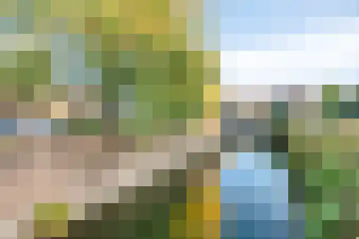 Noorddonk 3 Steenbergen thumbnail 31