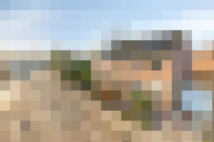 Noorddonk 3 Steenbergen thumbnail 35