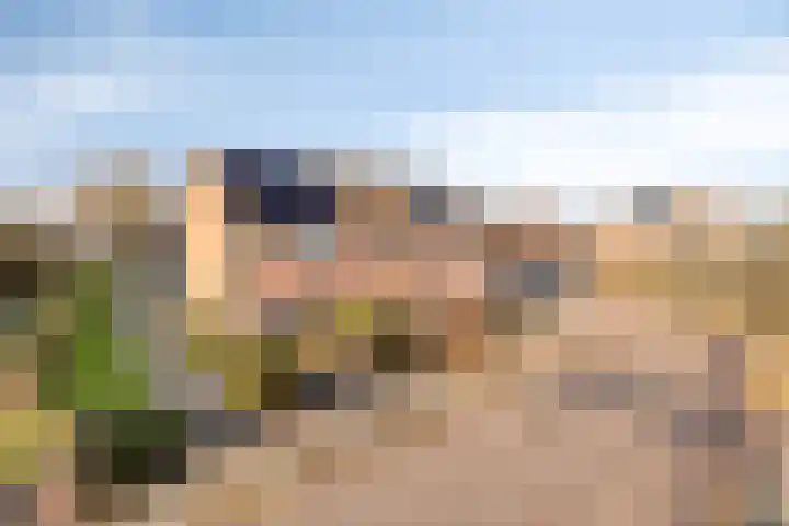 Noorddonk 3 Steenbergen thumbnail 37