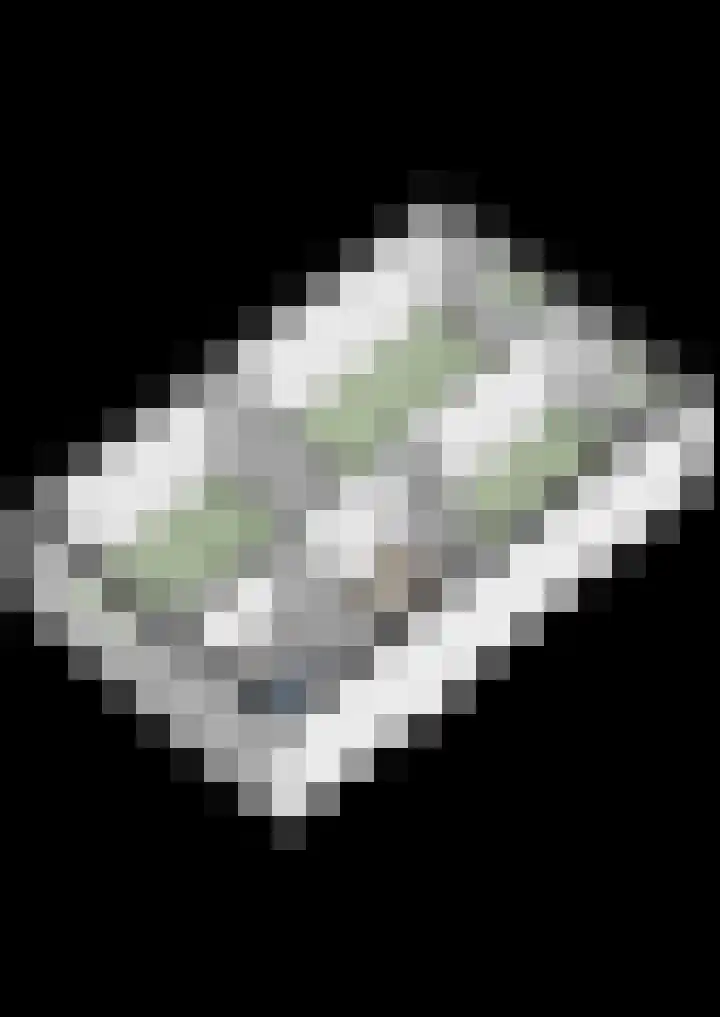 Noorddonk 3 Steenbergen thumbnail 45