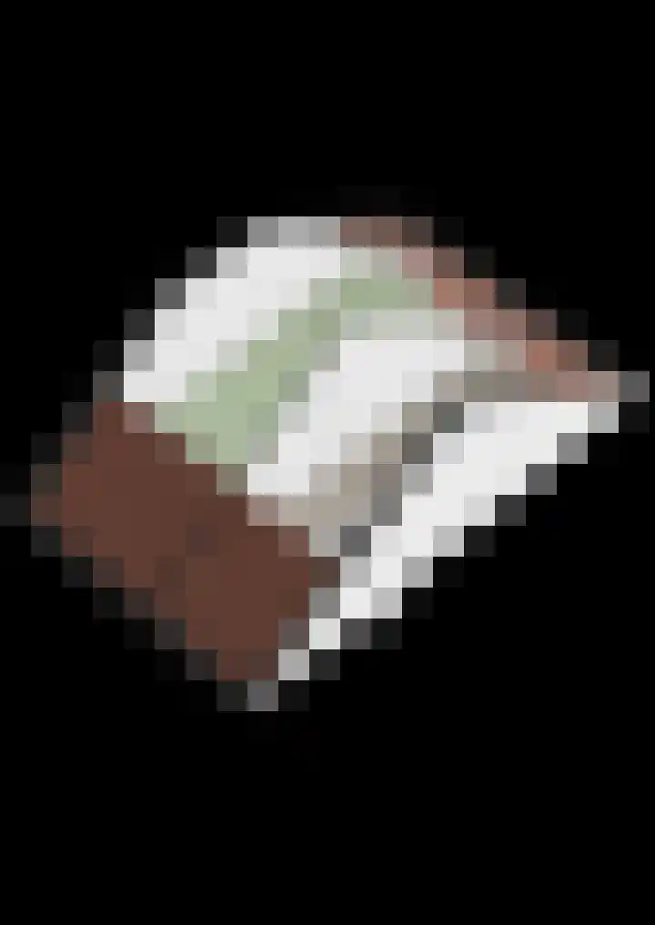 Noorddonk 3 Steenbergen thumbnail 46