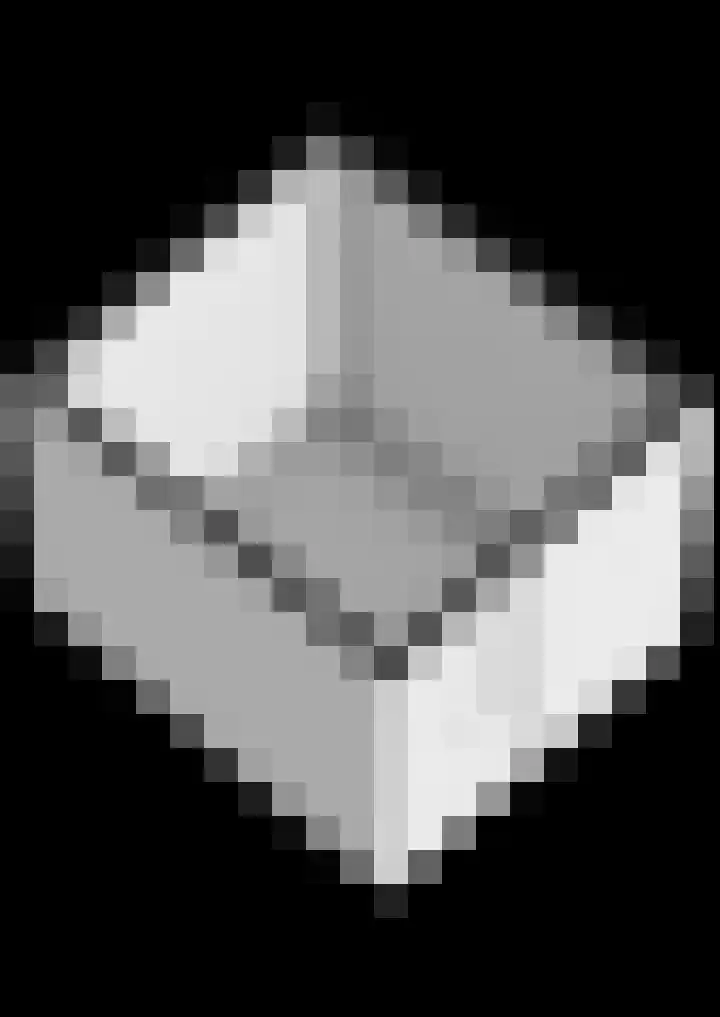 Noorddonk 3 Steenbergen thumbnail 47